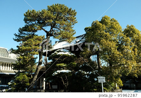 赤穂浪士ゆかりの泉岳寺 95962287