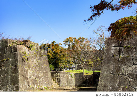 岡城跡の石垣と紅葉 95962318