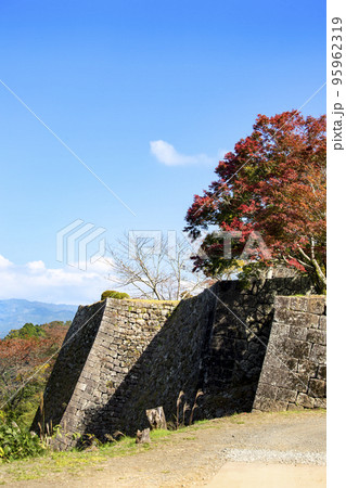 岡城跡の石垣と紅葉 95962319