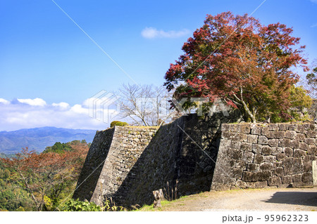岡城跡の石垣と紅葉 95962323