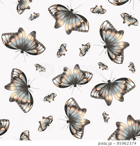 Seamless Pattern with Colorful Butterflies on White Background. Seamless Pattern with Colorful Butterflies on White Background. 95962374