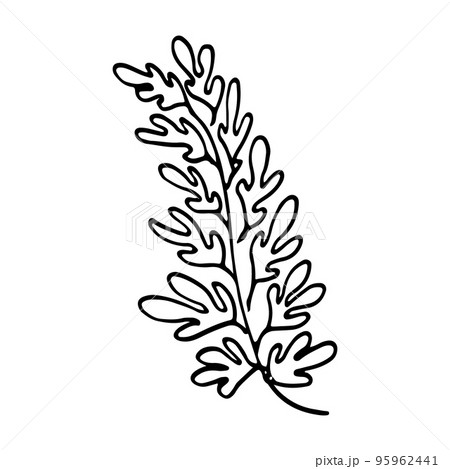 Vector branch and leave. Hand drawn floral elements. Vintage botanical doodle illustrations. 95962441