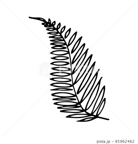 Vector branch and leave. Hand drawn floral elements. Black outline plant on white background. Vintage botanical doodle illustrations. 95962462