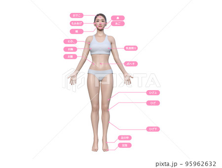 女性が気になる脱毛施術部位 3Dモデル女性の全身正面のイラスト 95962632