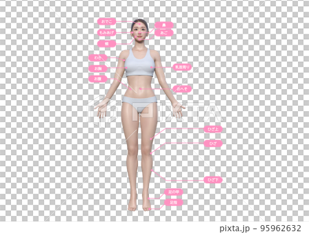 女性が気になる脱毛施術部位 3Dモデル女性の全身正面のイラスト 95962632