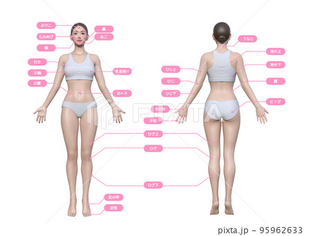 女性が悩む脱毛の施術部位 3Dモデル女性の全身正面と後ろ姿のイラストセット 95962633