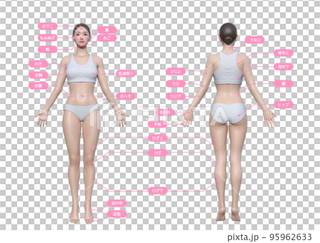 Hair removal treatment areas that women are concerned about 3D model female full body front and back view illustration set 95962633