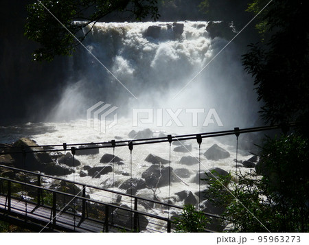 関之尾滝 関之尾滝 95963273