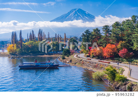 (山梨県)河口湖・大池公園の紅葉と富士山 (山梨県)河口湖・大池公園の紅葉と富士山 95963282