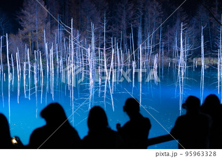 美瑛・青い池ライトアップ （2022年11月） 95963328