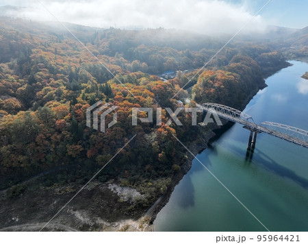 岐阜県荘川 御母衣ダムの紅葉 ドローン空撮 95964421