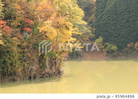 福島奥会津霧幻峡の渡し　紅葉 95964896