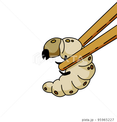 Edible larva. Eating caterpillar with chopsticks. Asian snack and street fast food. Source of insect protein. Edible larva. Eating caterpillar with chopsticks. Asian snack and street fast food. Source of insect protein. 95965227