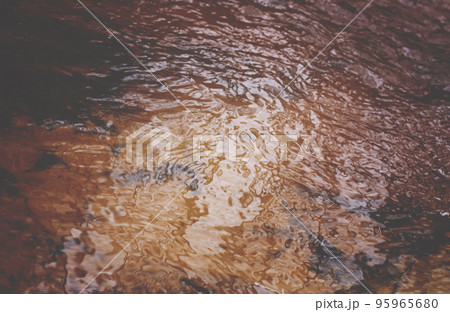 Small stream in the spring forest. Small stream in the spring forest. 95965680