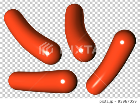 維納 維納 95967059