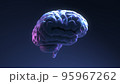 The Brain side view is on dark blue background. 95967262