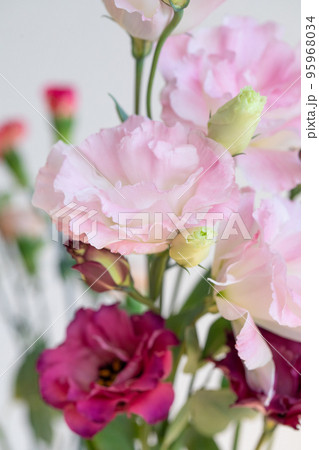 トルコキキョウの花束　ピンク系 95968034