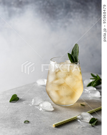 Refreshing iced cocktail with sage garnish, copy space Refreshing iced cocktail with sage garnish, copy space 95968479