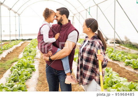 Farming, family and garden harvest for bonding, love and affection for summer produce. Gardening, parents and daughter on a farm for sustainability and ecology for plants with mother, father and girl Farming, family and garden harvest for bonding, love and affection for summer produce. Gardening, parents and daughter on a farm for sustainability and ecology for plants with mother, father and girl 95968485