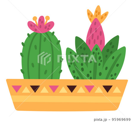 Cute houseplants. Home interior decoration. Green cactus 95969699