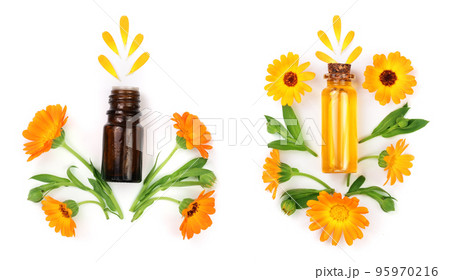aromatherapy essential oil with marigold flowers isolated white background 95970216