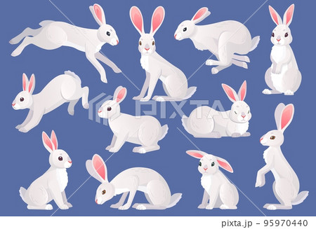 Snow hares. White furry hare or rabbit pets, wild spring bunny character pose collection forest mammal animals, running and sitting haring, isolated ingenious vector illustration 95970440