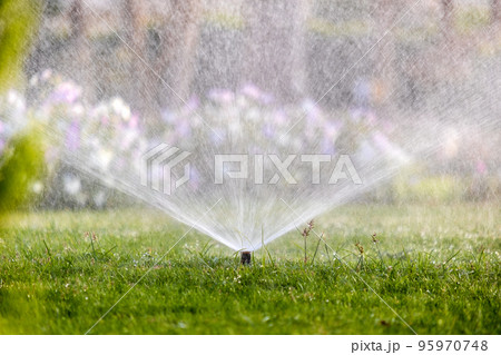 Plastic sprinkler irrigating grass lawn with water in summer garden. Watering green vegetation duging dry season for maintaining it fresh. Plastic sprinkler irrigating grass lawn with water in summer garden. Watering green vegetation duging dry season for maintaining it fresh. 95970748