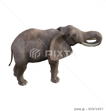 Illustration of an elephant in different poses and angles for collage or clip art. Pose number 1 isolated on white background. 3D rendering illustration. Illustration of an elephant in different poses and angles for collage or clip art. Pose number 1 isolated on white background. 3D rendering illustration. 95971057