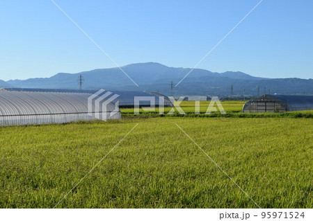 月山（がっさん）日本百名山 95971524