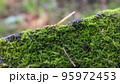 働くあり 95972453