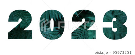 Lettering 2023 as green natural background on a white background Lettering 2023 as green natural background on a white background 95973251