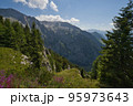 Mountain world on the German-Austrian border 95973643