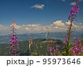 View from the mountain to the Berchtesgadener Land 95973646