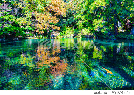 出流原弁天池 95974575