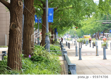 日本大通り 日本大通り 95974706