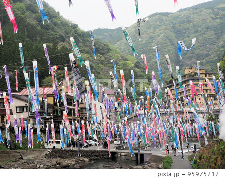 杖立温泉の鯉のぼり祭 熊本県阿蘇郡小国町下城 杖立温泉の鯉のぼり祭 熊本県阿蘇郡小国町下城 95975212