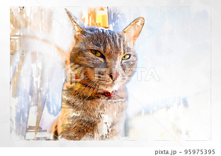 スケッチ風 猫 ネコ ねこ キジトラ グレー 雌 メス 雌ねこ 雌ネコ 元気 かわいい 癒し 95975395