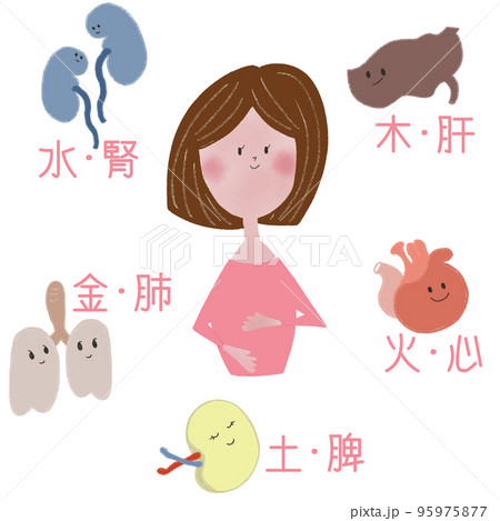 東洋医学の五行と五臓の関係を表したイラスト 95975877