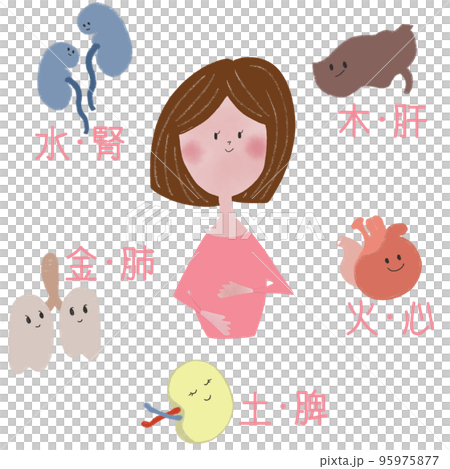 東洋医学の五行と五臓の関係を表したイラスト 95975877