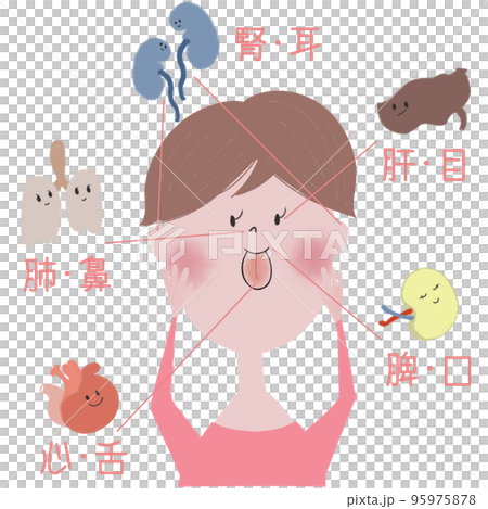 東洋医学の五臓と五官(感覚器)の関係を表したイラスト 95975878
