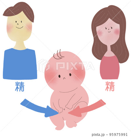 両親から受け継ぐ先天の精を、両親と赤ちゃんの絵で表したイラスト 両親から受け継ぐ先天の精を、両親と赤ちゃんの絵で表したイラスト 95975991
