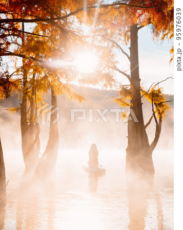 Woman relaxing on paddle board at the lake with morning fog, sun and autumnal Taxodium trees 95976039