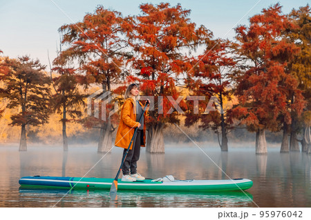 Young woman on stand up paddle board at the lake with Taxodium trees. Woman on SUP board Young woman on stand up paddle board at the lake with Taxodium trees. Woman on SUP board 95976042