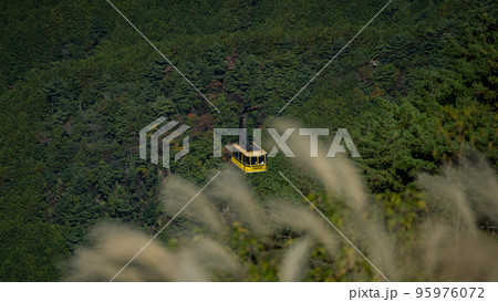 雲辺寺山頂公園に続くロープウェーとススキ 95976072