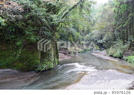 大出水の湧水 大出水の湧水 95976126