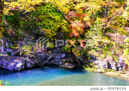 紅葉に染まる巴淵 紅葉に染まる巴淵 95976339