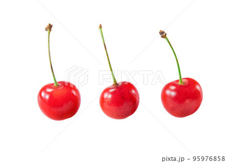 さくらんぼ さくらんぼ 95976858