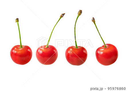さくらんぼ 95976860