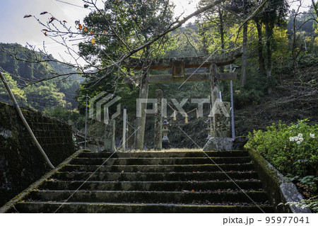 多祁伊奈太伎佐耶布都神社　岩屋権現　岩穴宮　鳥居　広島県福山市 95977041