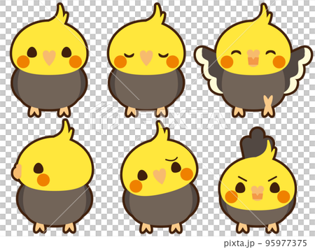 Cockatiel set with border 95977375